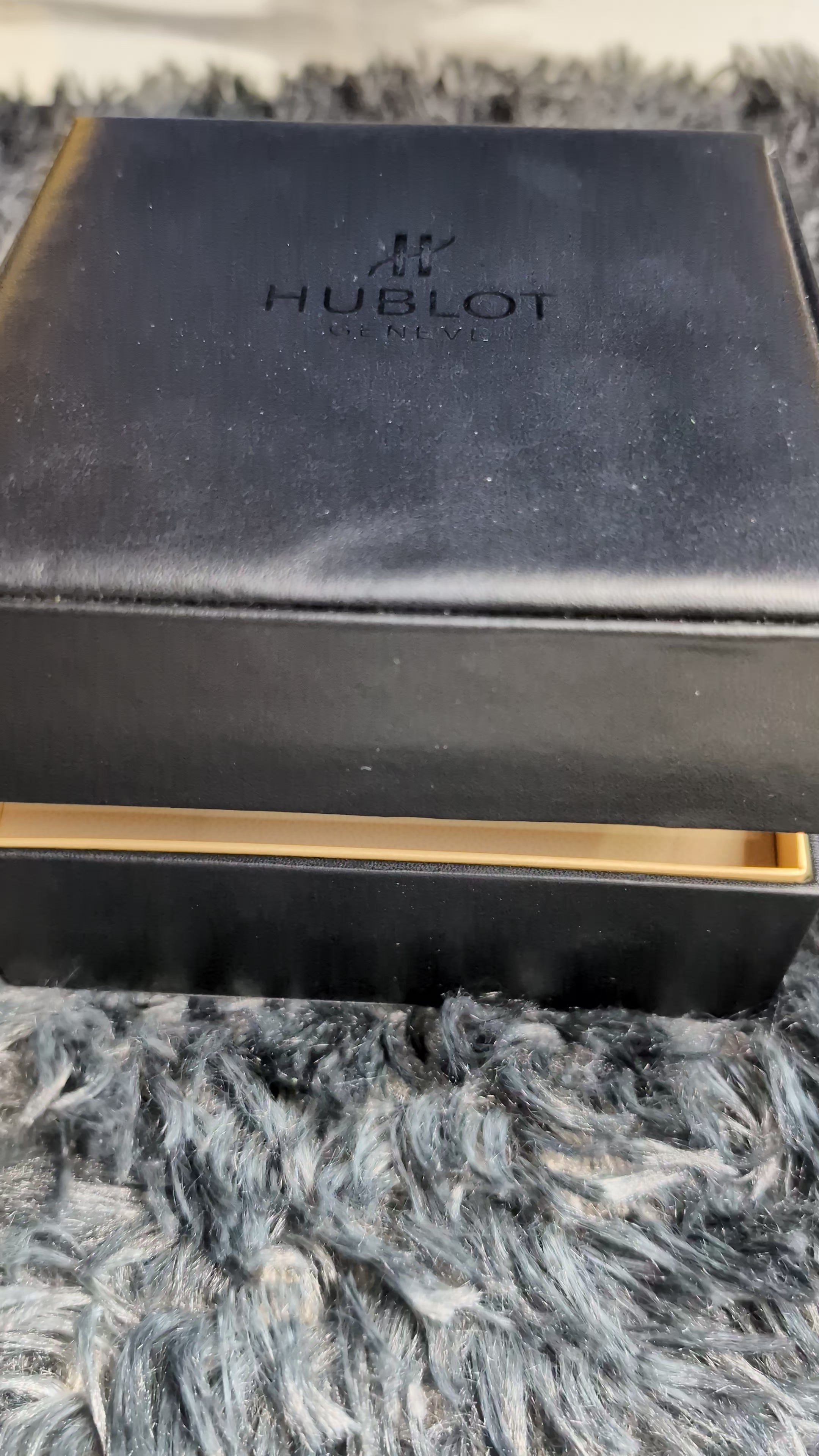 HB Automatic Skeleton Watch